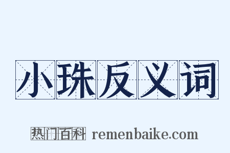 小珠反义词是什么意思的图片